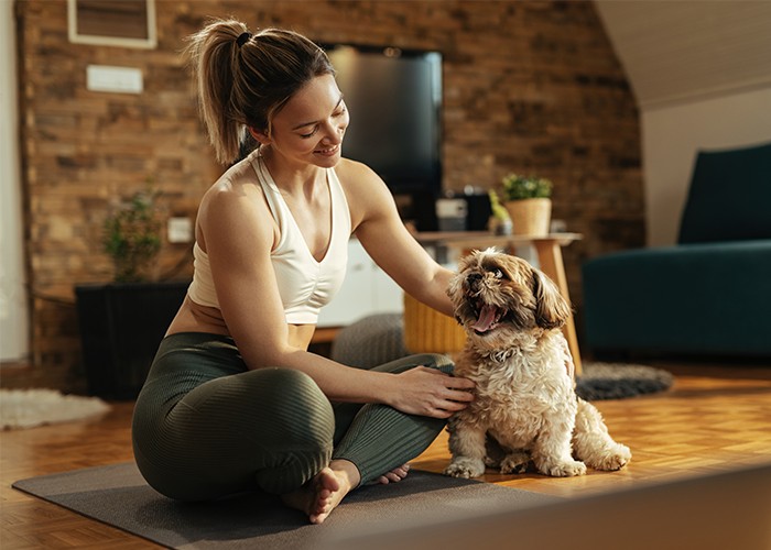Why Every Dog Can Benefit from In-Home Dog Training in San Antonio